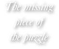 the missing piece of the puzzle